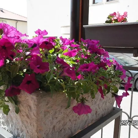 Nette Ferienwohnung In Mit Grosser Terrasse Und Panoramablick * Novi Vinodolski