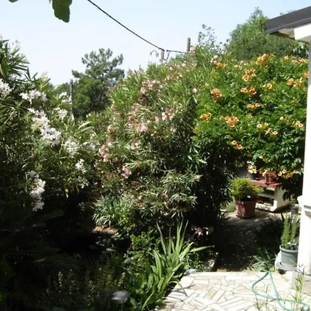 Nette Ferienwohnung In Mit Grosser Terrasse Und Panoramablick